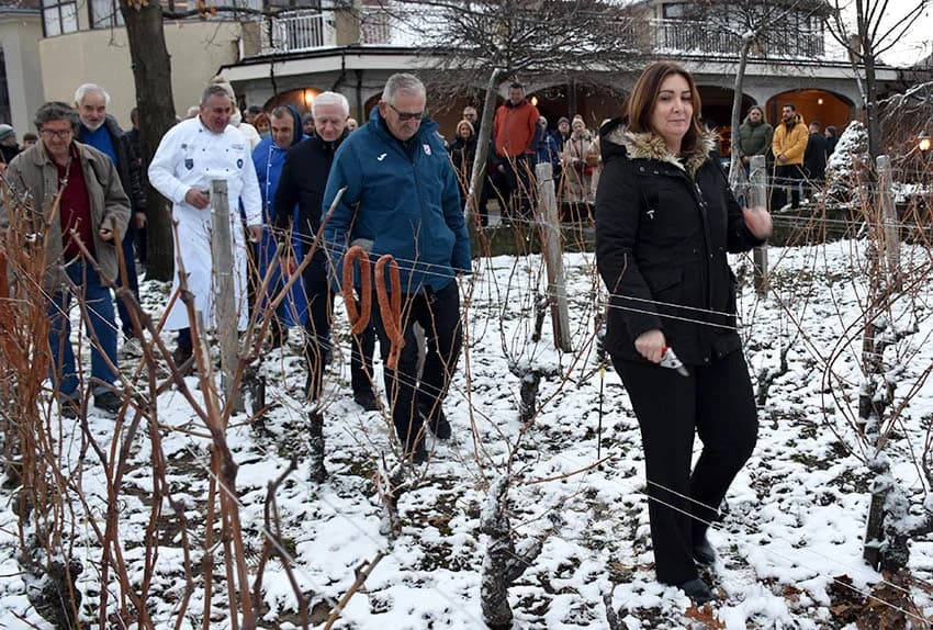 (FOTOGALERIJA) Najavili početak radova u vinogradima