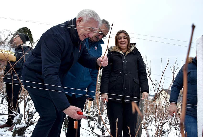 (FOTOGALERIJA) Najavili početak radova u vinogradima