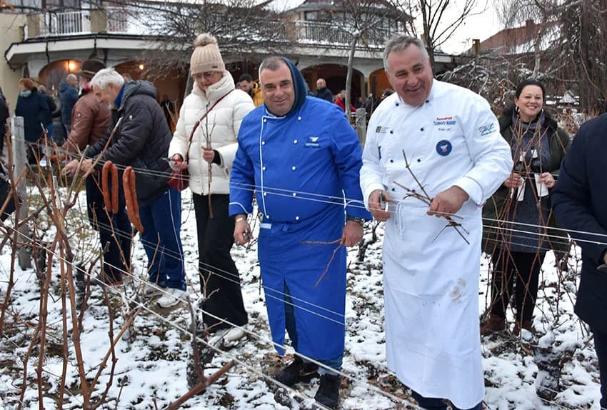 (FOTOGALERIJA) Najavili početak radova u vinogradima