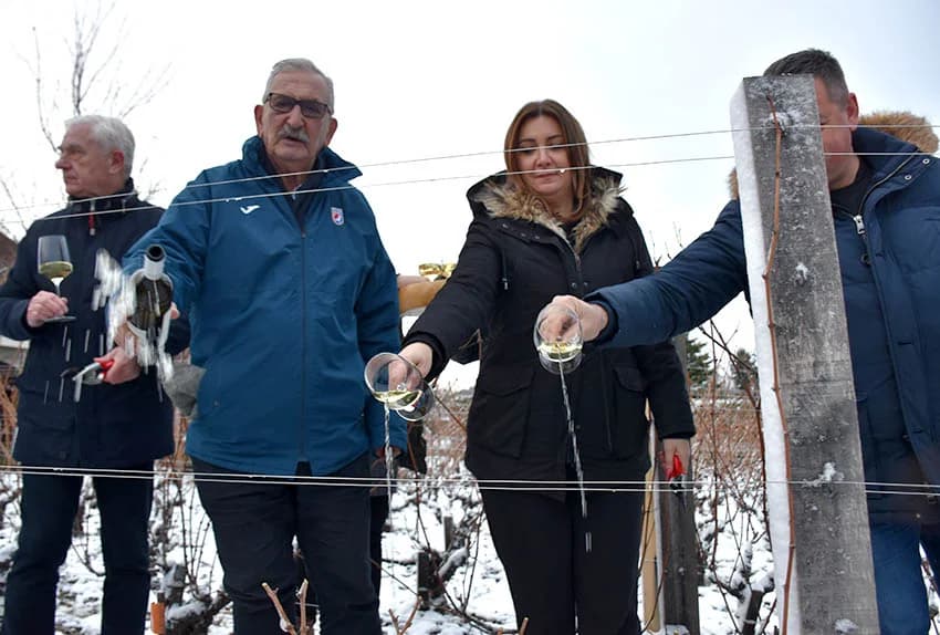 (FOTOGALERIJA) Najavili početak radova u vinogradima