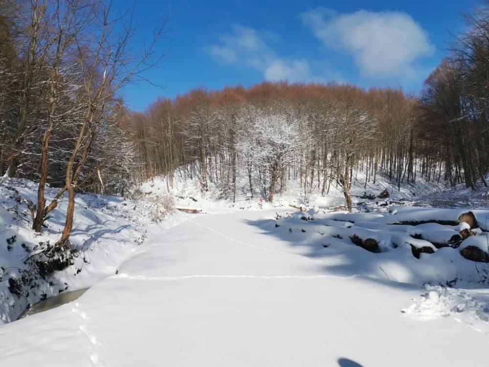 Papuk pod snijegom
