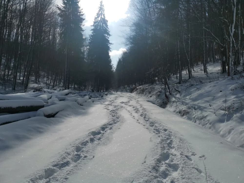 Papuk pod snijegom
