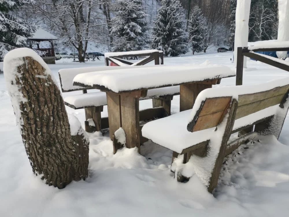 Papuk pod snijegom