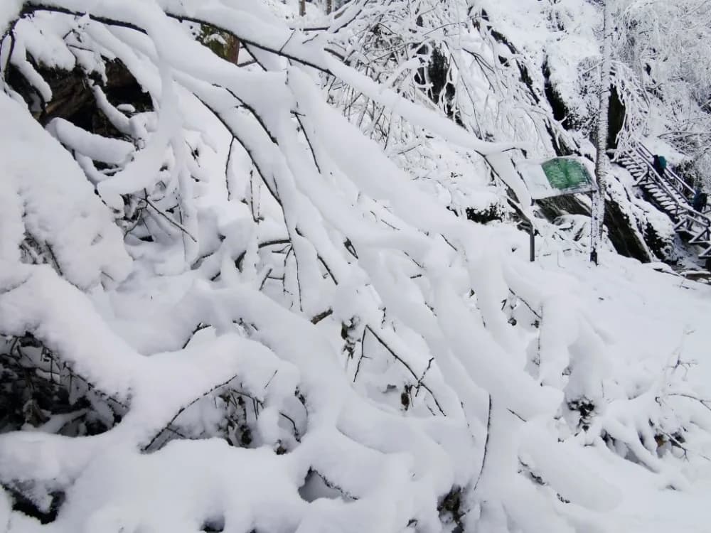 Papuk pod snijegom