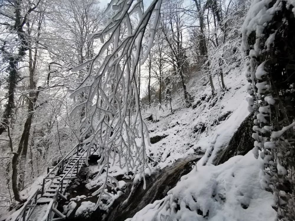 Bajkoviti Papuk: Pogledajte fotogaleriju snježnih prizora s Jankovca