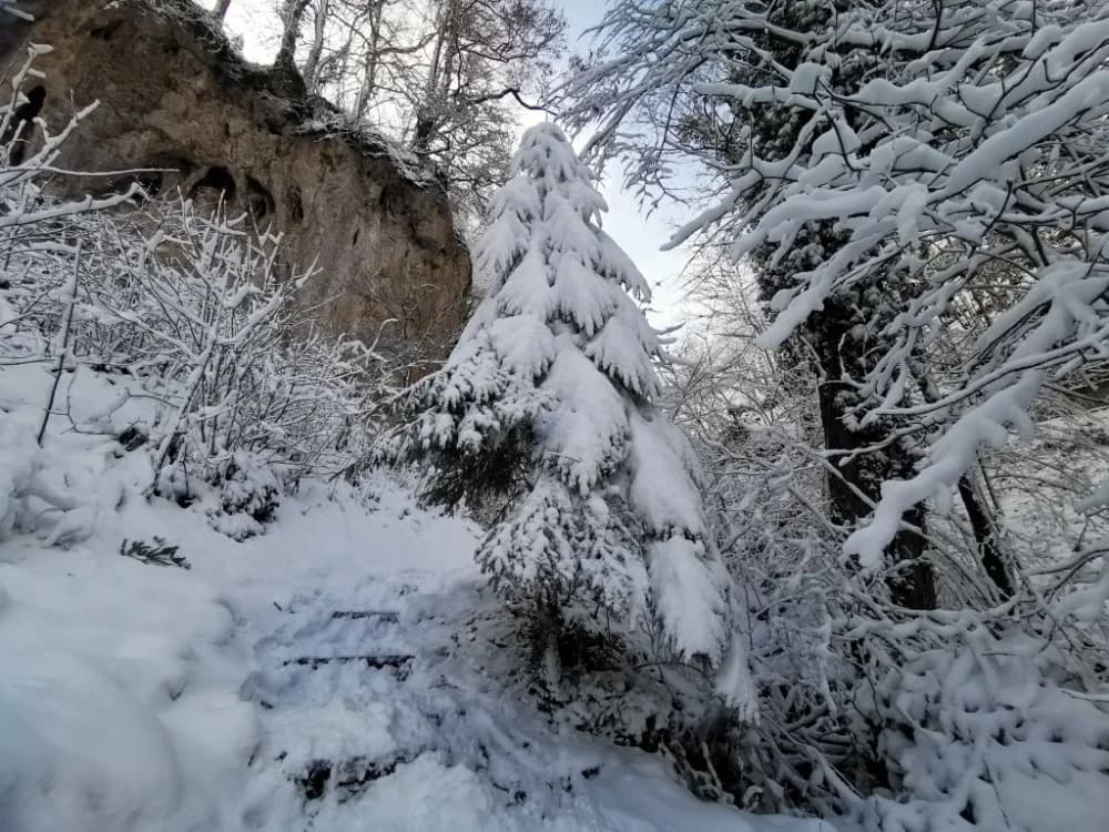 Bajkoviti Papuk: Pogledajte fotogaleriju snježnih prizora s Jankovca