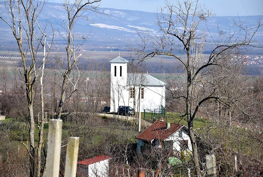 POŽEŽANI OBILJEŽILI VINCELOVO NA POŽEŠKOJ GORI: Slavlje u vinogradima s pogledom na Požešku kotlinu