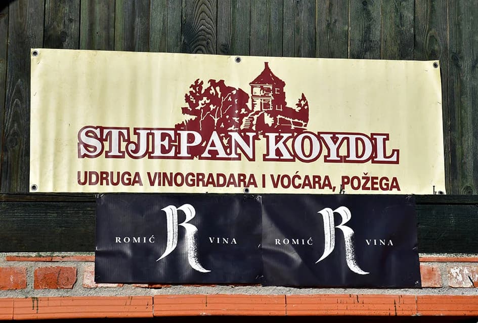 POŽEŽANI OBILJEŽILI VINCELOVO NA POŽEŠKOJ GORI: Slavlje u vinogradima s pogledom na Požešku kotlinu
