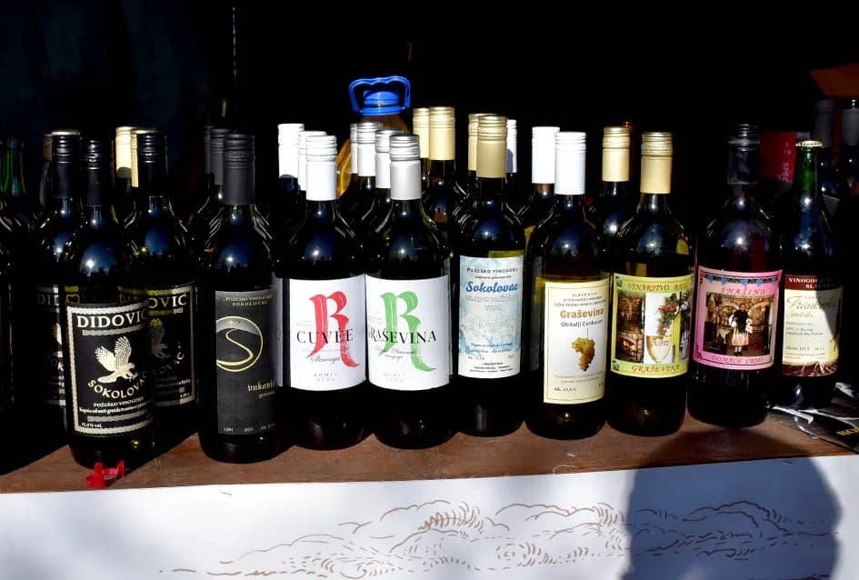 POŽEŽANI OBILJEŽILI VINCELOVO NA POŽEŠKOJ GORI: Slavlje u vinogradima s pogledom na Požešku kotlinu