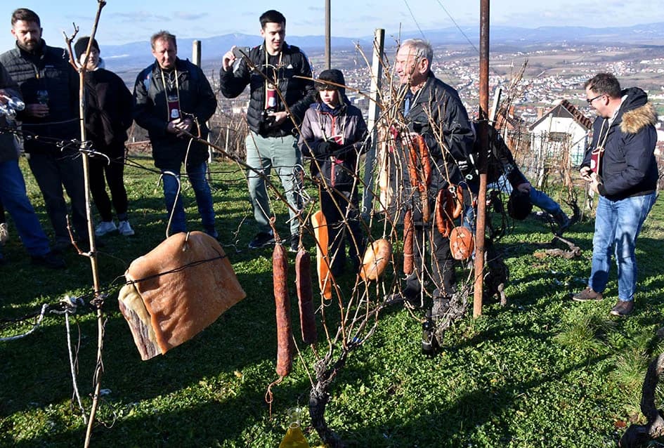 POŽEŽANI OBILJEŽILI VINCELOVO NA POŽEŠKOJ GORI: Slavlje u vinogradima s pogledom na Požešku kotlinu