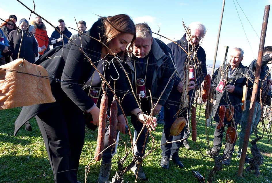 POŽEŽANI OBILJEŽILI VINCELOVO NA POŽEŠKOJ GORI: Slavlje u vinogradima s pogledom na Požešku kotlinu