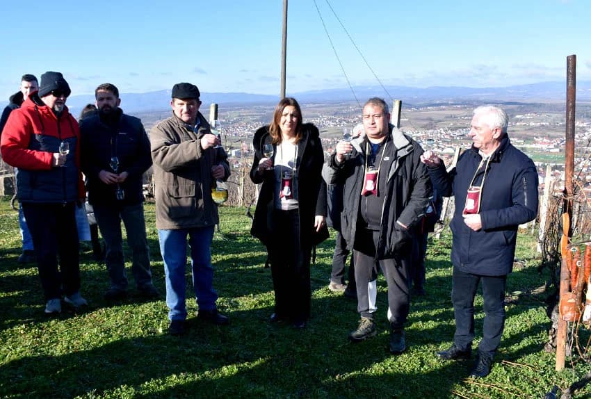 POŽEŽANI OBILJEŽILI VINCELOVO NA POŽEŠKOJ GORI: Slavlje u vinogradima s pogledom na Požešku kotlinu