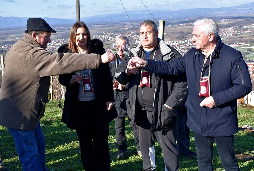 POŽEŽANI OBILJEŽILI VINCELOVO NA POŽEŠKOJ GORI: Slavlje u vinogradima s pogledom na Požešku kotlinu