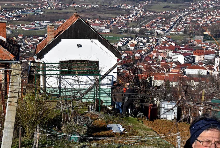 POŽEŽANI OBILJEŽILI VINCELOVO NA POŽEŠKOJ GORI: Slavlje u vinogradima s pogledom na Požešku kotlinu