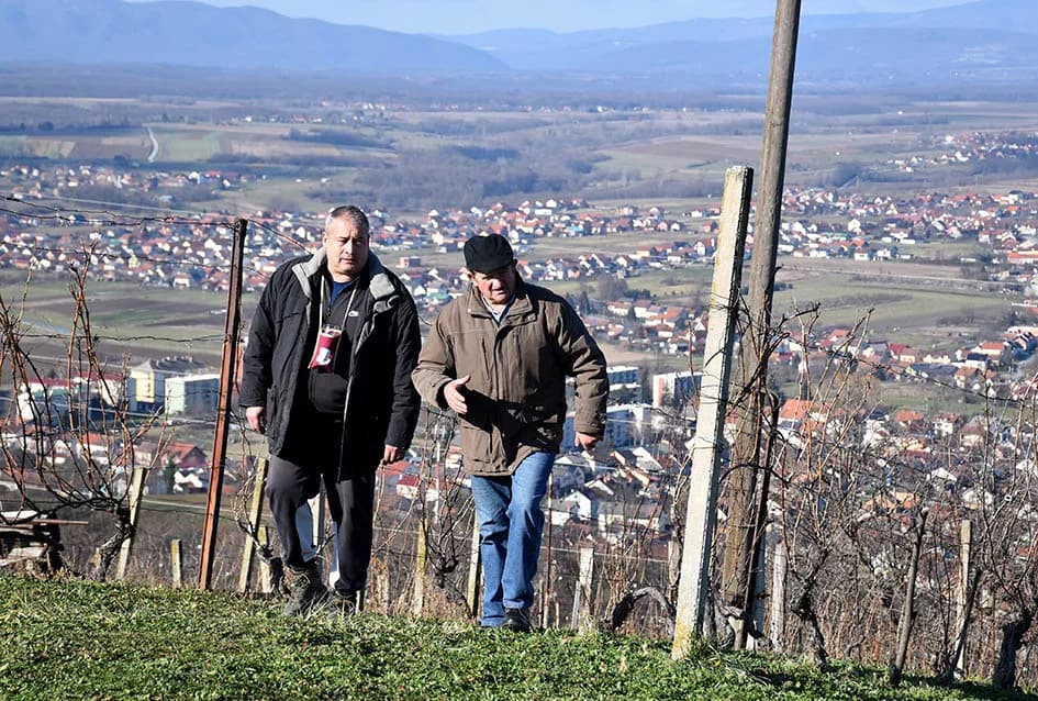 POŽEŽANI OBILJEŽILI VINCELOVO NA POŽEŠKOJ GORI: Slavlje u vinogradima s pogledom na Požešku kotlinu