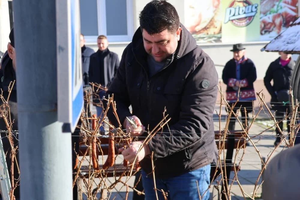 Na Trgu graševine u Kutjevu uz prigodan program orezani prvi trsovi loze i zapaljena vincelovska vatra