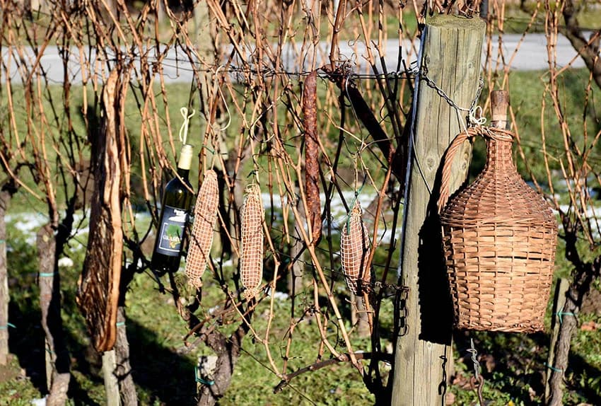 VINCELOVO OBILJEŽILA UDRUGA “VINO-KAP” IZ KAPTOLA: Ugostili prijatelje iz Jajca i Mađarske