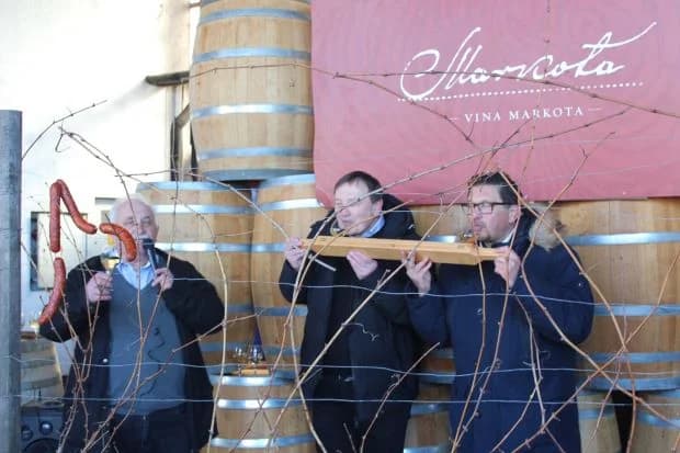 Svečano obilježili Vincelovo u tvrtki Vina Markota uz blagoslov vinove loze, pjesmu i druženje