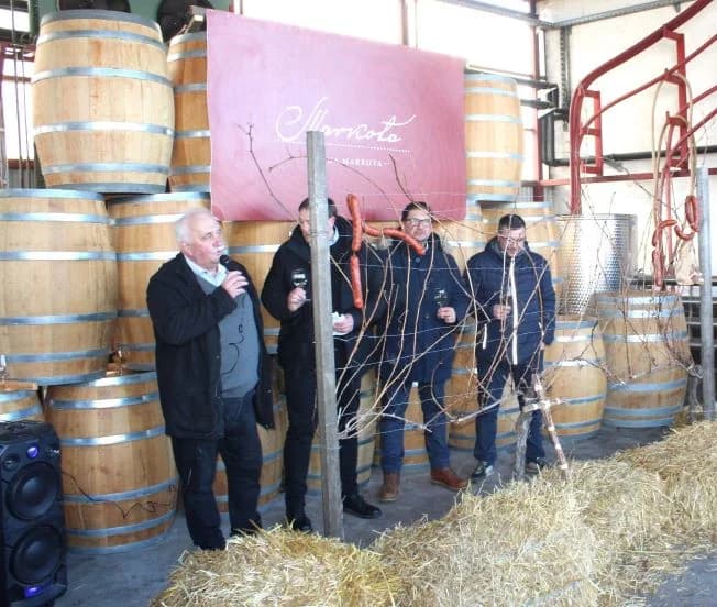 Svečano obilježili Vincelovo u tvrtki Vina Markota uz blagoslov vinove loze, pjesmu i druženje