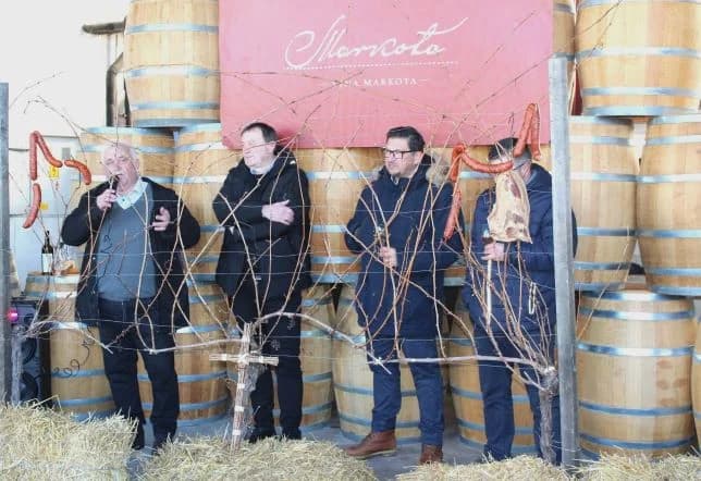 Svečano obilježili Vincelovo u tvrtki Vina Markota uz blagoslov vinove loze, pjesmu i druženje