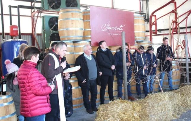 Svečano obilježili Vincelovo u tvrtki Vina Markota uz blagoslov vinove loze, pjesmu i druženje