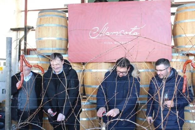 Svečano obilježili Vincelovo u tvrtki Vina Markota uz blagoslov vinove loze, pjesmu i druženje