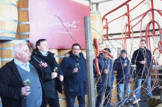 Svečano obilježili Vincelovo u tvrtki Vina Markota uz blagoslov vinove loze, pjesmu i druženje