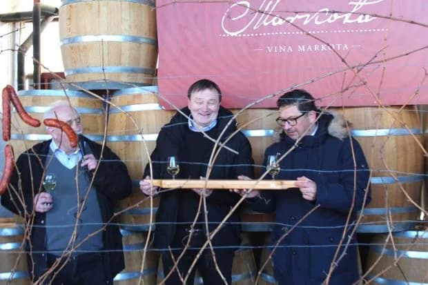 Svečano obilježili Vincelovo u tvrtki Vina Markota uz blagoslov vinove loze, pjesmu i druženje