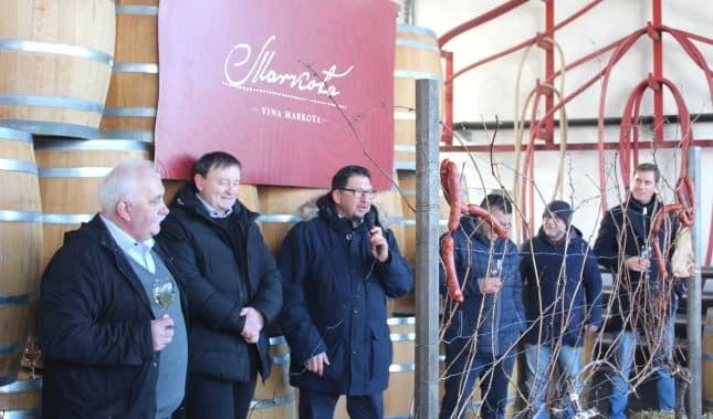 Svečano obilježili Vincelovo u tvrtki Vina Markota uz blagoslov vinove loze, pjesmu i druženje