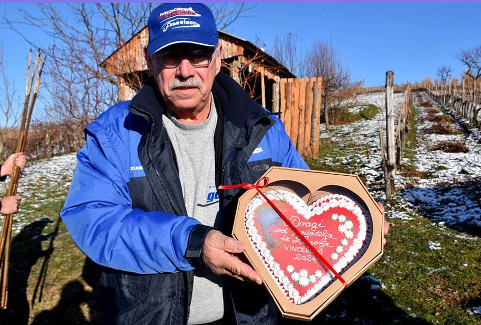 VINCELOVO U VINOGRADU OBITELJI MAJSTOROVIĆ U KUTJEVU: Zazvali bogatu berbu i obilje vina u podrumu