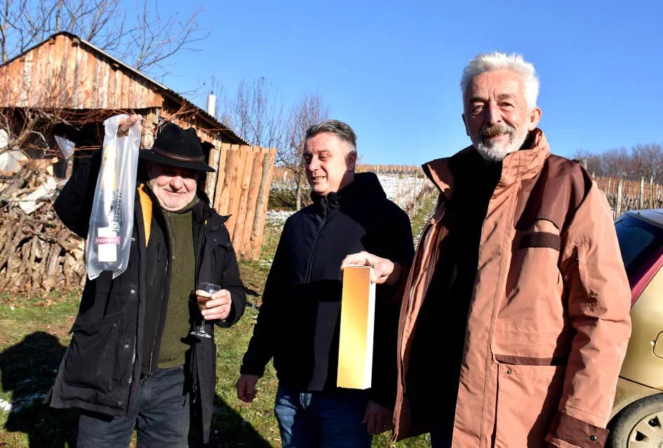 VINCELOVO U VINOGRADU OBITELJI MAJSTOROVIĆ U KUTJEVU: Zazvali bogatu berbu i obilje vina u podrumu
