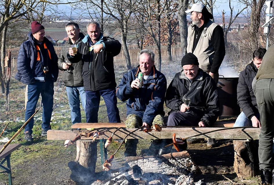 VINCELOVO U VINOGRADU OBITELJI MAJSTOROVIĆ U KUTJEVU: Zazvali bogatu berbu i obilje vina u podrumu