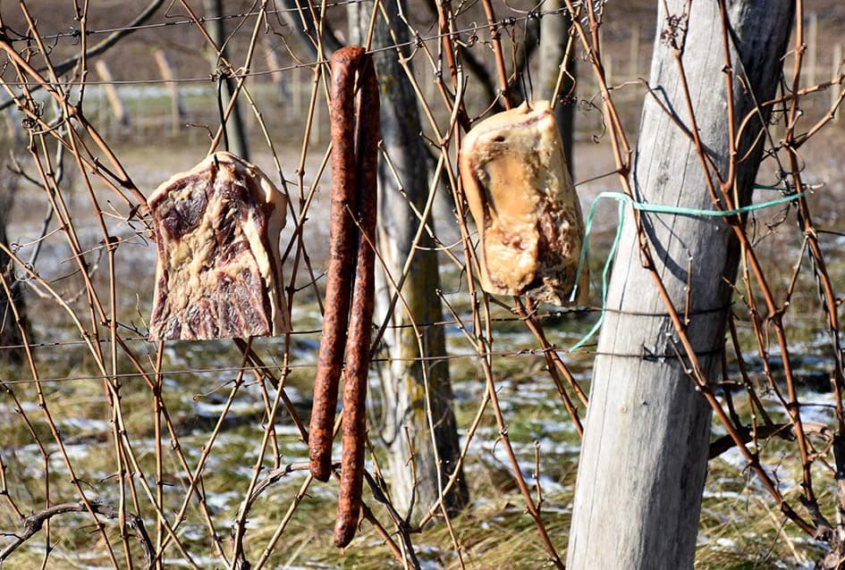 VINCELOVO U VINOGRADU OBITELJI MAJSTOROVIĆ U KUTJEVU: Zazvali bogatu berbu i obilje vina u podrumu