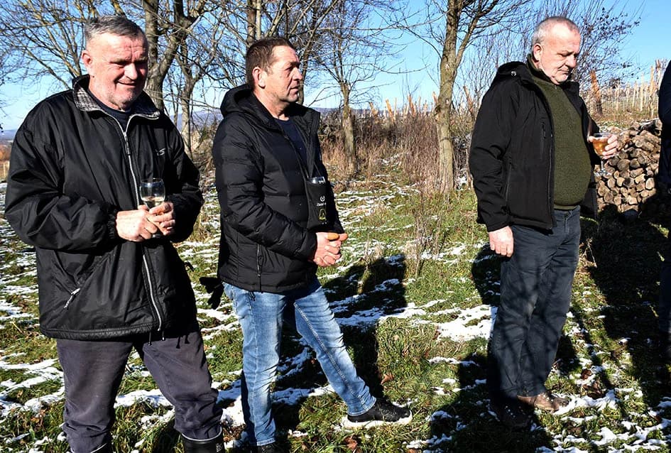 VINCELOVO U VINOGRADU OBITELJI MAJSTOROVIĆ U KUTJEVU: Zazvali bogatu berbu i obilje vina u podrumu