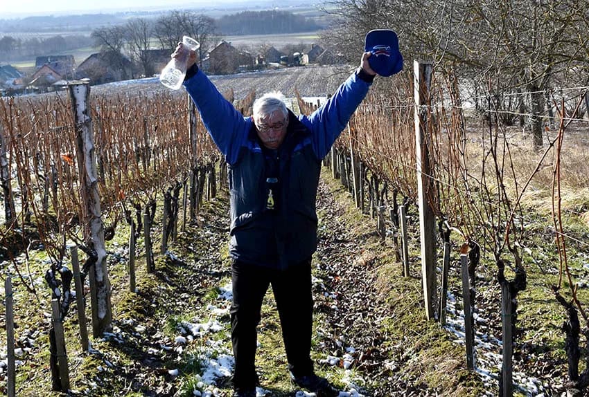 VINCELOVO U VINOGRADU OBITELJI MAJSTOROVIĆ U KUTJEVU: Zazvali bogatu berbu i obilje vina u podrumu