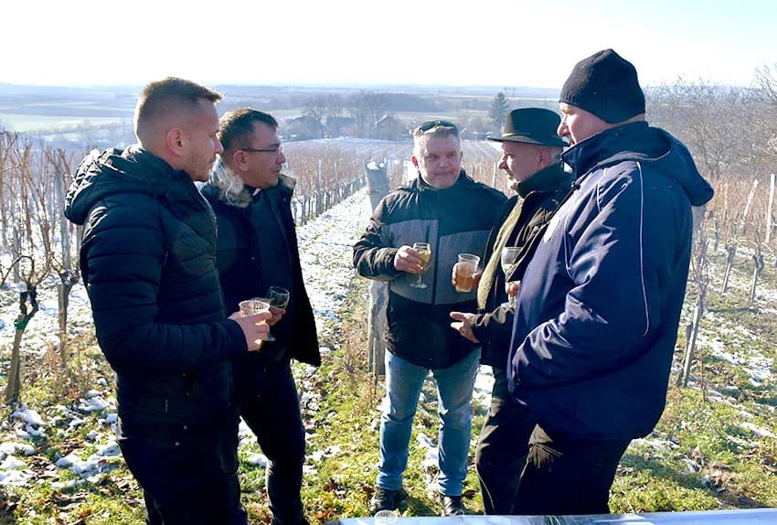 VINCELOVO U VINOGRADU OBITELJI MAJSTOROVIĆ U KUTJEVU: Zazvali bogatu berbu i obilje vina u podrumu