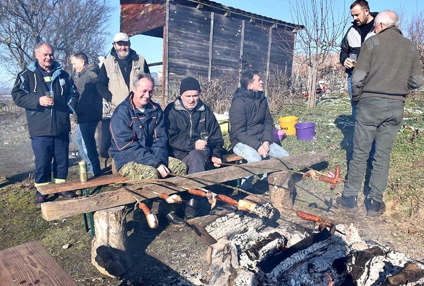 VINCELOVO U VINOGRADU OBITELJI MAJSTOROVIĆ U KUTJEVU: Zazvali bogatu berbu i obilje vina u podrumu
