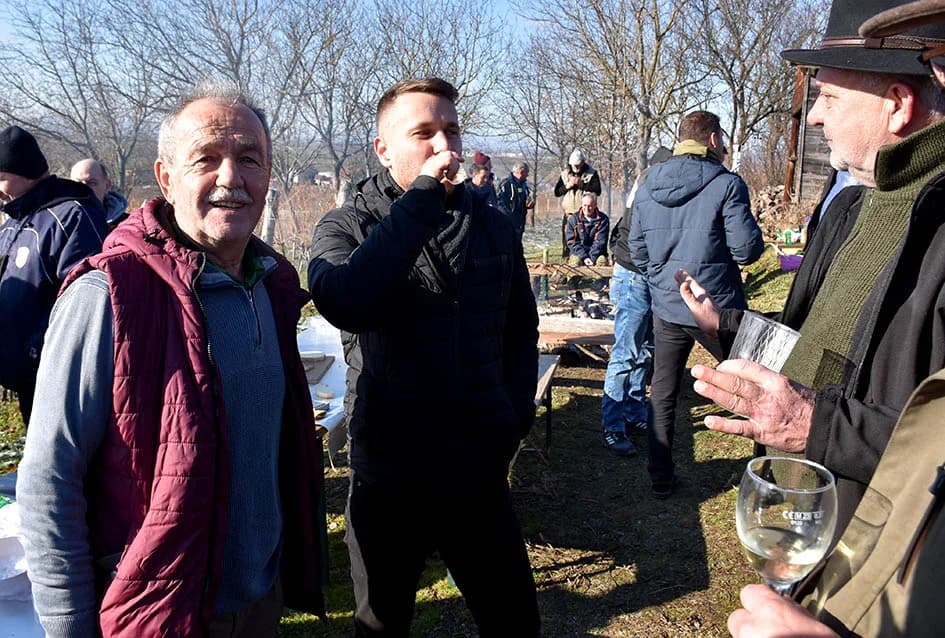 VINCELOVO U VINOGRADU OBITELJI MAJSTOROVIĆ U KUTJEVU: Zazvali bogatu berbu i obilje vina u podrumu