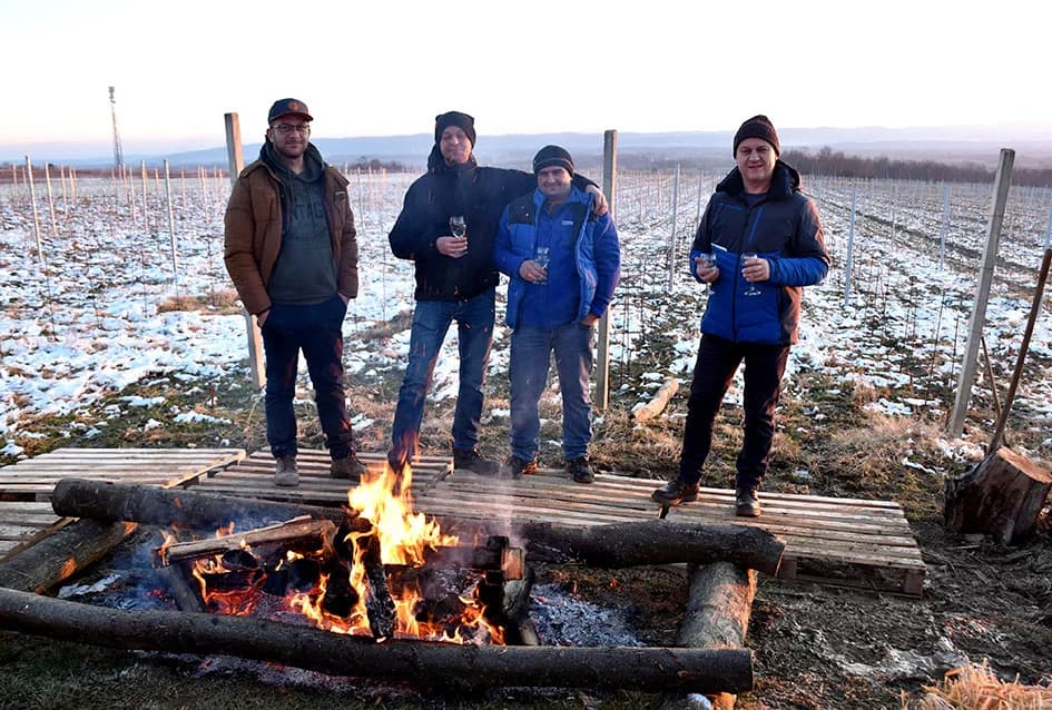 Slavili obnovu tri hektara vinograda