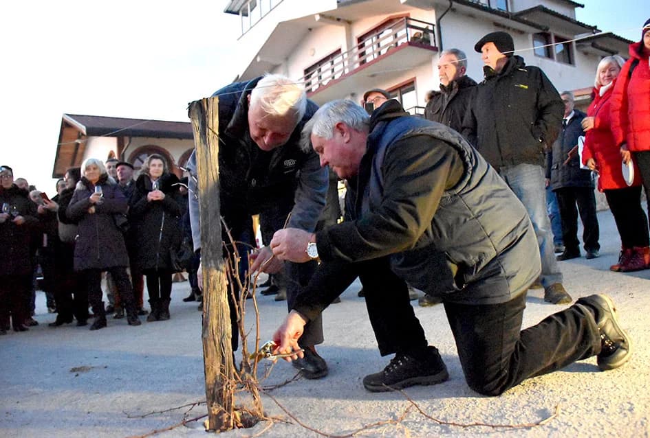 VINCELOVO KOD ENJINGIJA U HRNJEVCU: Brojni uzvanici slavili početak radova u vinogradu