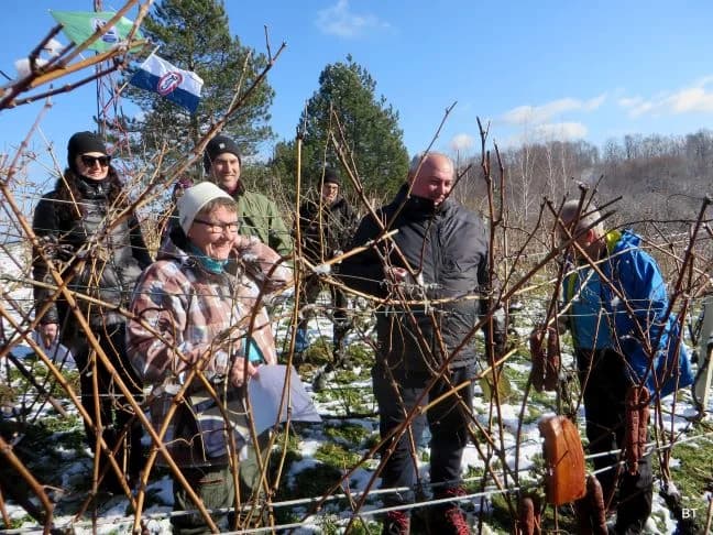 BRODSKI DRENOVAC: Održana 12. manifestacija  „Planinarsko Vinkovo na Viljevuʼ