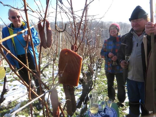 BRODSKI DRENOVAC: Održana 12. manifestacija  „Planinarsko Vinkovo na Viljevuʼ