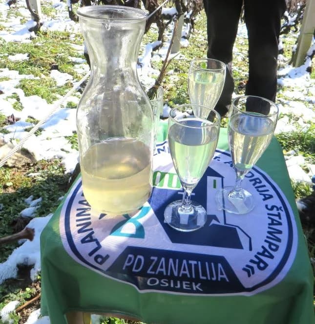 BRODSKI DRENOVAC: Održana 12. manifestacija  „Planinarsko Vinkovo na Viljevuʼ