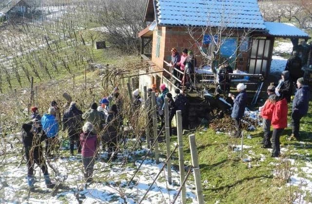 BRODSKI DRENOVAC: Održana 12. manifestacija  „Planinarsko Vinkovo na Viljevuʼ