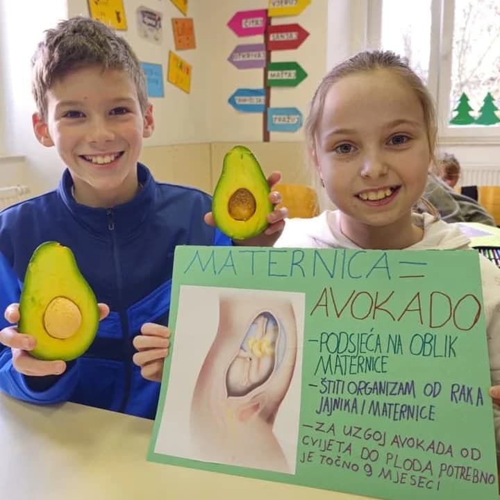 Odnos hrane i organa, Katolička osnovna škola u Požegi