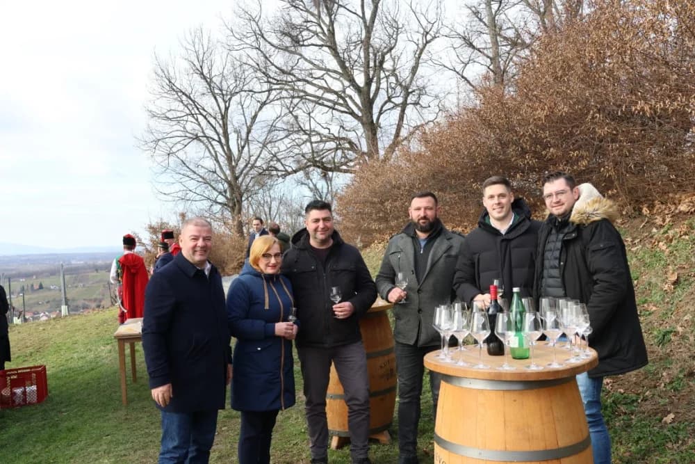 Orezani prvi trsovi u vinogradima Kutjeva d.d.
