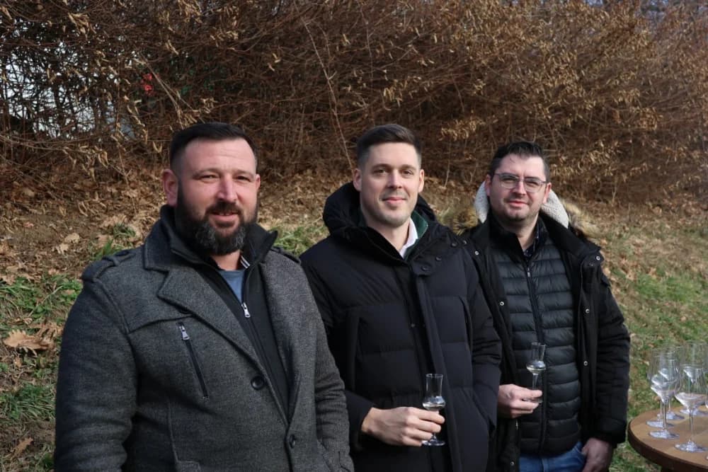 Orezani prvi trsovi u vinogradima Kutjeva d.d.