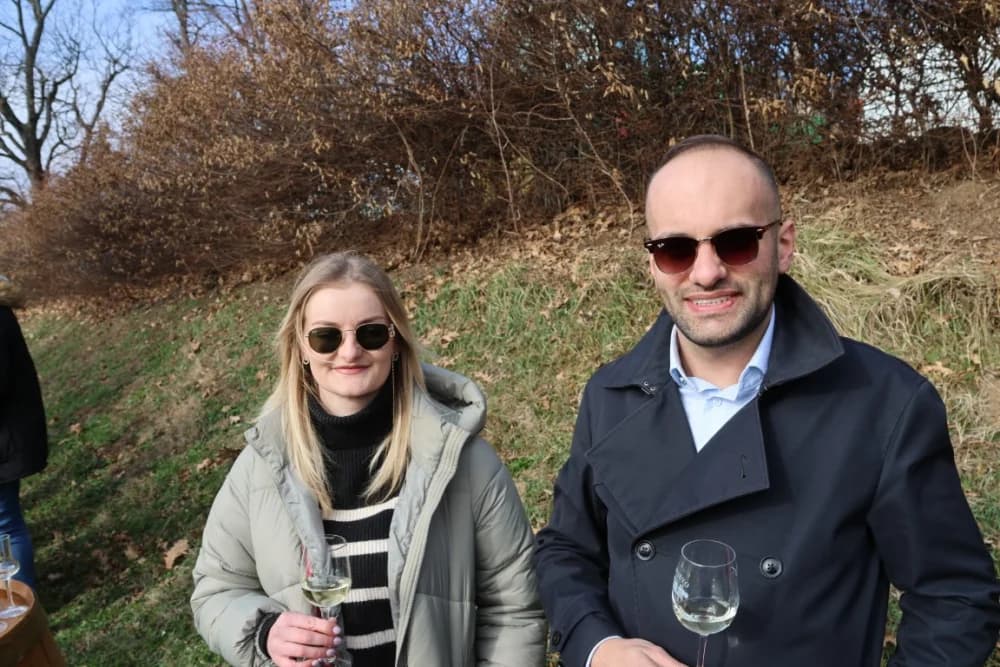 Orezani prvi trsovi u vinogradima Kutjeva d.d.
