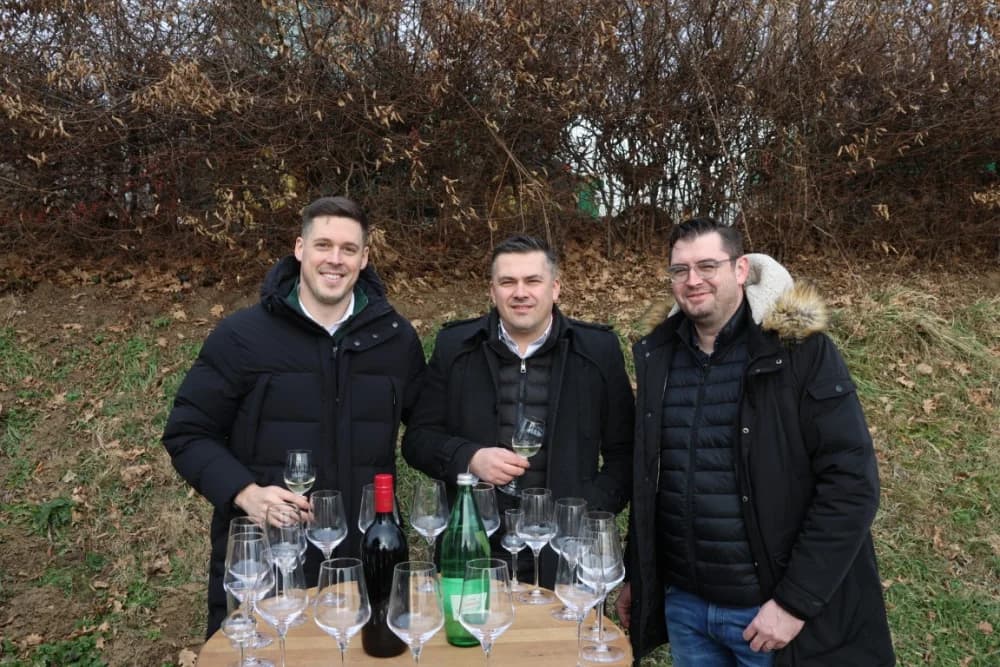 Orezani prvi trsovi u vinogradima Kutjeva d.d.