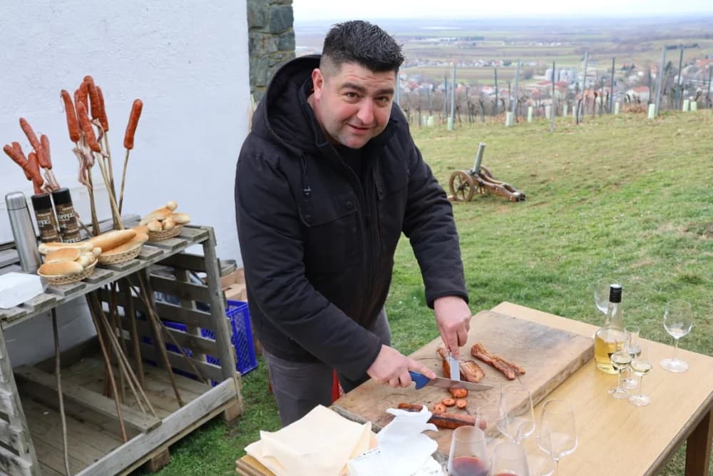 Orezani prvi trsovi u vinogradima Kutjeva d.d.